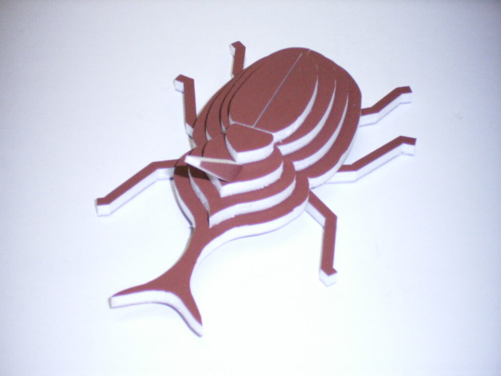 カブトムシ　beetle